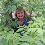 Maggie Lambert - @maggie.lambert.758 - Instagram