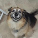 Maggie moo - @maggie.moo.larkin - Instagram