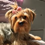 Maggie - @maggie_leonel - Instagram