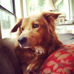 Maggie Levy - @maggielevy9206 - Instagram