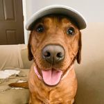 Maggie Lou - @magnificentmaggielou - Instagram