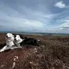 MaggieLou - @maggielou2024 - TikTok