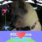 Maggie Lyles - Facebook