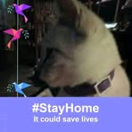 Maggie Lyles - Facebook