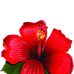 Maggie Lyon - Facebook