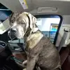 Maggie.Lyon - @maggie.lyon92 - TikTok