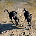 Maggie & Mack - @maggie_mack_adventures - Instagram