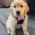 Maggie mack - @maggie_mack1 - Instagram