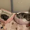 Maggie Mack - @maggie.mack38 - TikTok