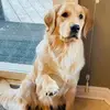 Maggie - @maggie_mack1 - TikTok