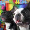 Maggie & Major - @maggieandmajor - TikTok