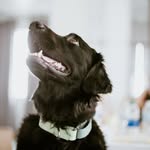 Maggie & Maple - @maggie.and.maple - Instagram