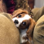 Maggie & Maple - @magnolia.and.maple - Instagram
