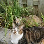Maggie, Maple & Merlot - @mags_mapes_merlot - Instagram