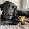 maggieandmaple - @maggieandmaple - TikTok