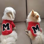 Maple🐶 and Maggie🦊 - @maplenmaggie - Instagram