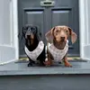 Maple&Maggie - @mapleandmaggie1 - TikTok