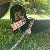 Molly and Maggie and Maple - @_molly_maggie_maple_ - TikTok