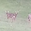 Maggie Maples - @maggie.maples - TikTok