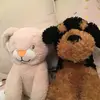 Maggie and Marcus❤️ - @maggie_marcus11 - TikTok