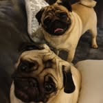 Maggie&Marcus - @magus182019 - Instagram