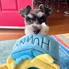 Maggie Mae Matlock - @maggie_matlock - TikTok