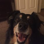 Maggie Matlock - @maggiethepup2021 - Instagram