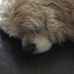 Maggie Matlock - @matlock2651 - Instagram