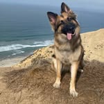 Maggie Maye - @itsmaggiemaye - Instagram