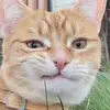 maggiemaye - @maggiemaye6 - TikTok