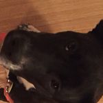 Maggie Maynard - @amazingmagpie - Instagram