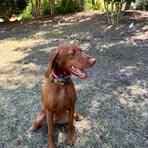 Maggie Mcclain - Facebook
