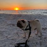 Max Mcgregor - @maggie.max.mcgregor - Instagram