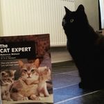 Maggie McManus - @maggie_thepuss - Instagram