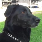 Maggie McManus - @swaggy_maggie45 - Instagram