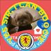 Maggie Mcnally - Facebook