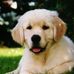 Maggie McNally - Facebook