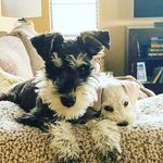 Harding and Maggie McNulty - @hardingandmaggie - Instagram