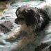 Margaret McWilliams - Facebook