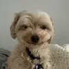 maggie meyer - @maggie.meyerspam - TikTok