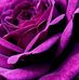 Maggie Mills - Facebook
