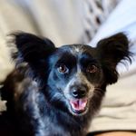 Maggie Moon Stanley - @_maggie.moon - Instagram