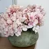 Maggie Moran - @maggie.moran3 - TikTok