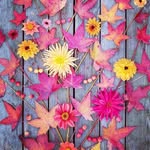 Maggie Mott - @pip.mott.50 - Instagram
