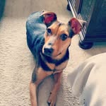 Maggie.Motte - @maggie.motte - Instagram