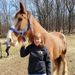 Maggie Moyer - @mlauermoyer - Instagram