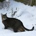 Maggie Mudd - Facebook