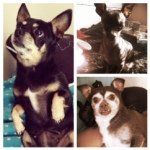 @maggie_muddy_missy - Instagram