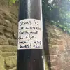 maggiesinthemudd - @maggiesinthemudd - TikTok