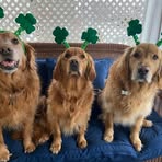 Maggie Mullen - Facebook